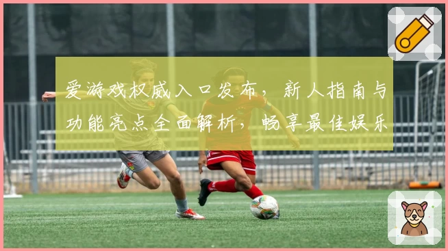 爱游戏权威入口发布，新人指南与功能亮点全面解析，畅享最佳娱乐体验