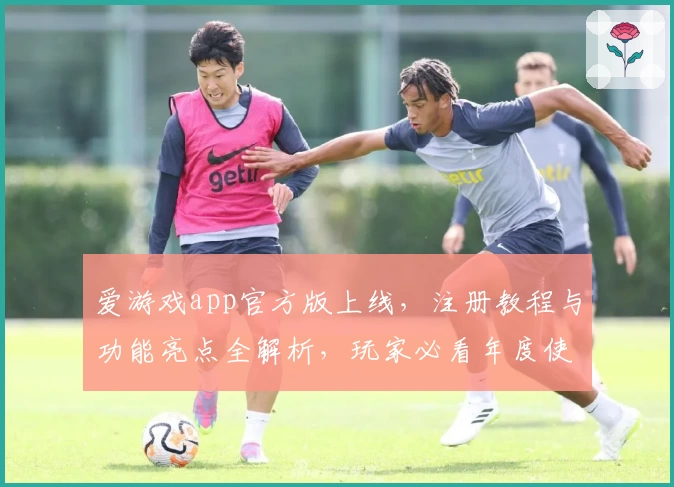 爱游戏app官方版上线，注册教程与功能亮点全解析，玩家必看年度使用指南